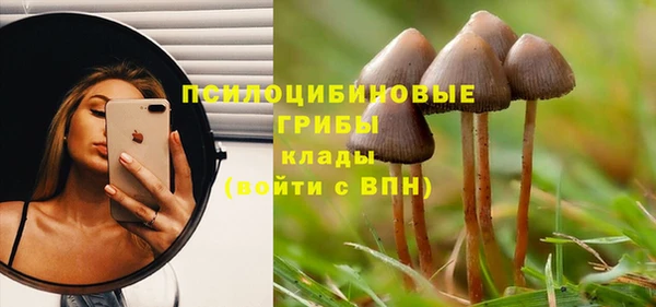 mdpv Костерёво