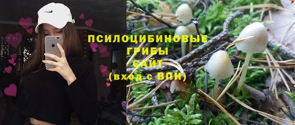 тгк Корсаков