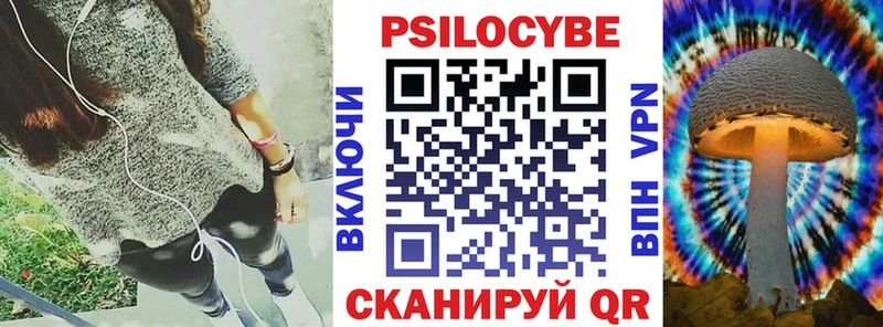 Псилоцибиновые грибы Psilocybine cubensis  Купить где  Камешково 